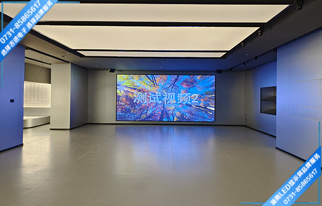 長(zhǎng)沙市雨花區(qū)某產(chǎn)業(yè)園智能會(huì)議室LED顯示屏